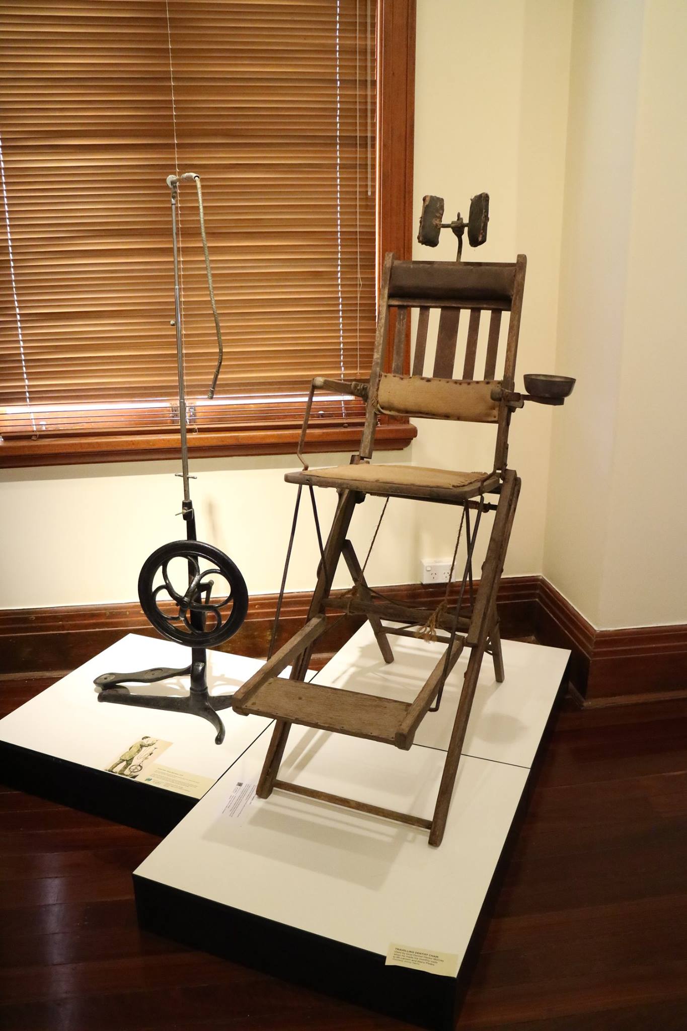 Jacksonville Area Museum's new exhibit explores G.V. Black's
