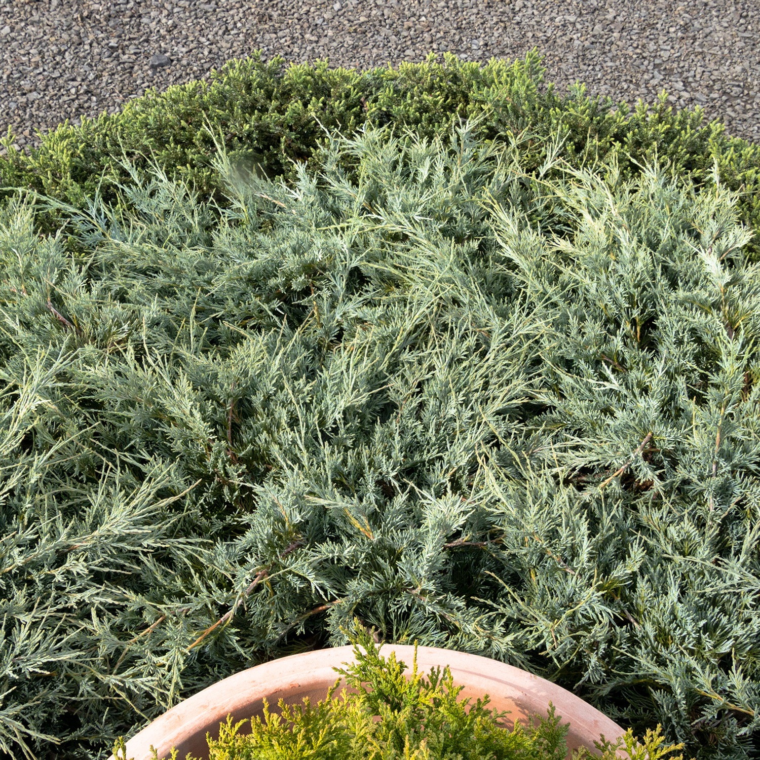 L.B. Forcellati &amp; Sons | Wall NJ