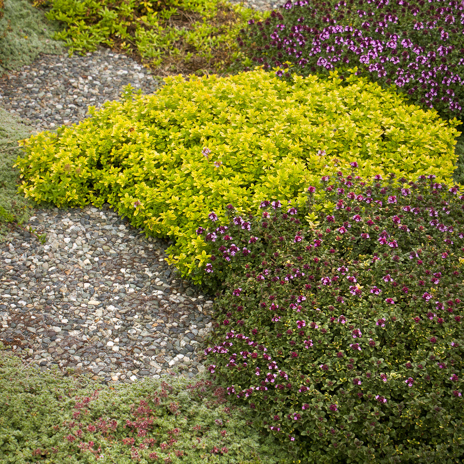 L.B. Forcellati &amp; Sons | Wall NJ