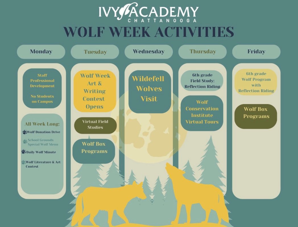 🐺 Wolf Week is Back! 🐾 Ivy... - Ivy Academy Chattanooga | Facebook