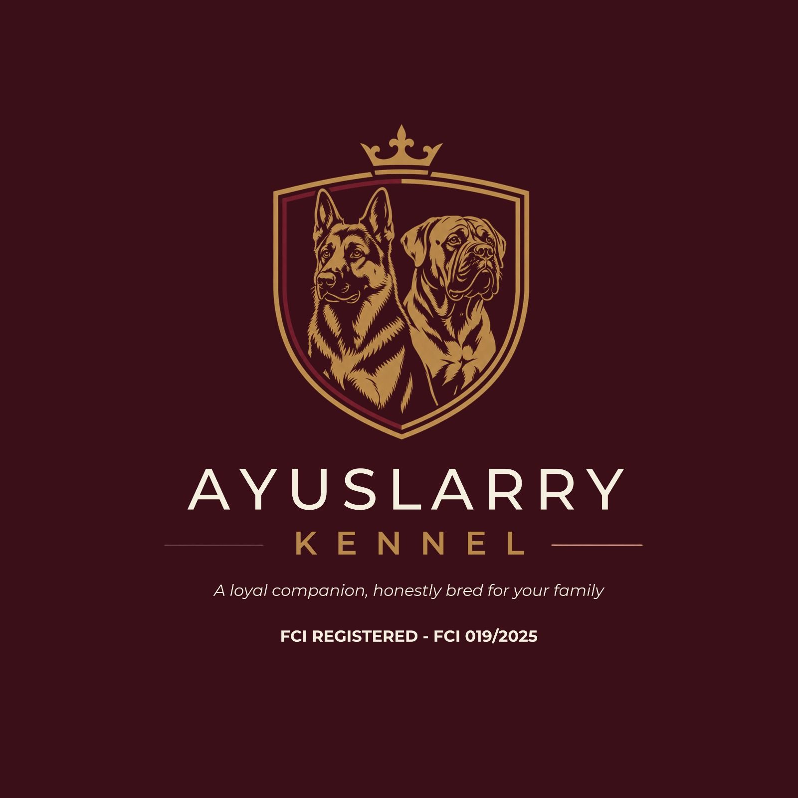 Welcome to Ayuslarry Kennel. Here, we focus on raising German Shepherds ...