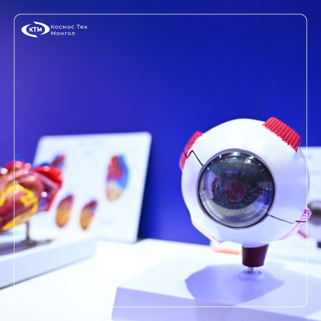 Cosmos Tech Mongol LLC added a... - Cosmos Tech Mongol LLC