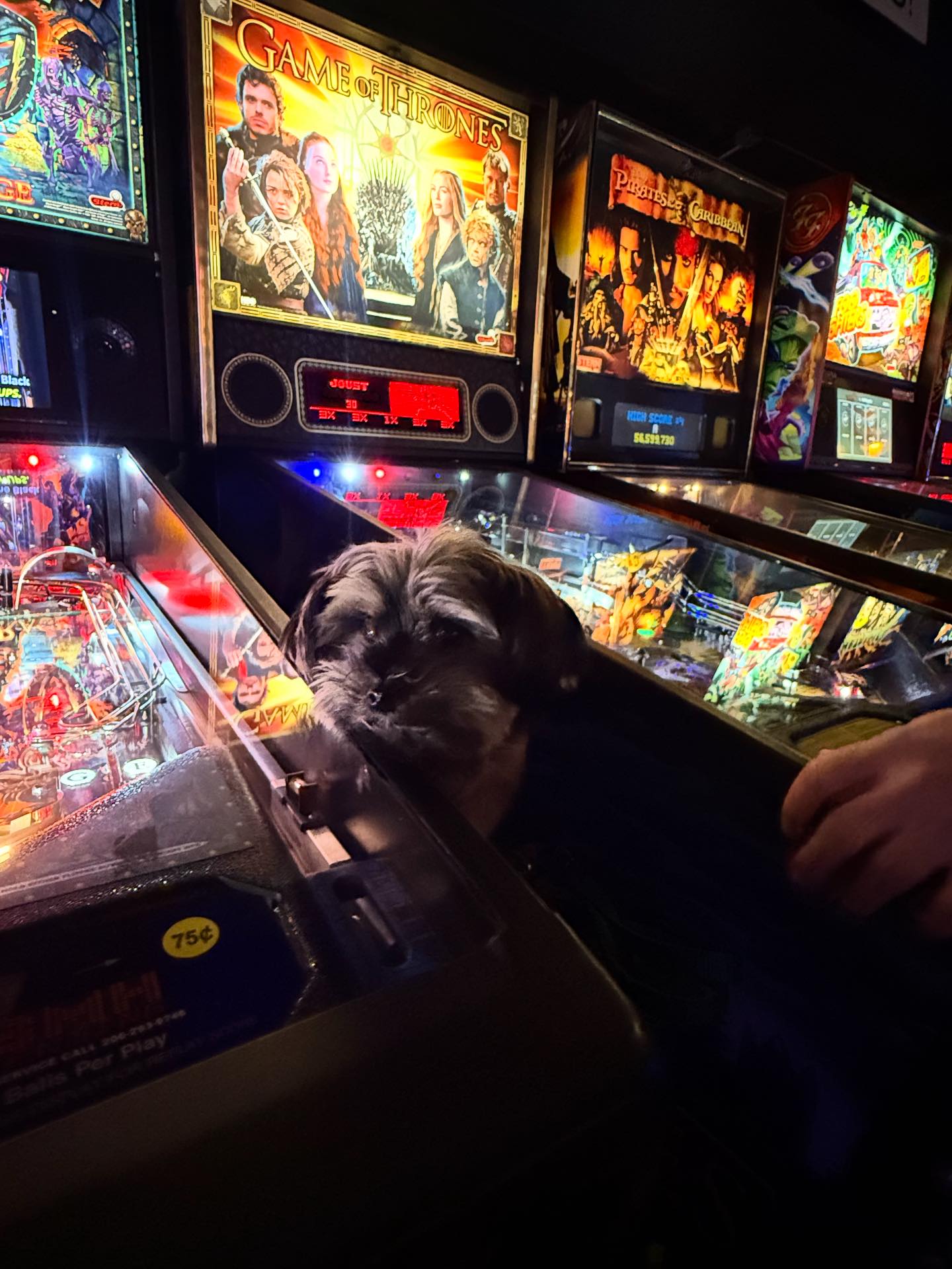 Jupiter Bar | Seattle WA