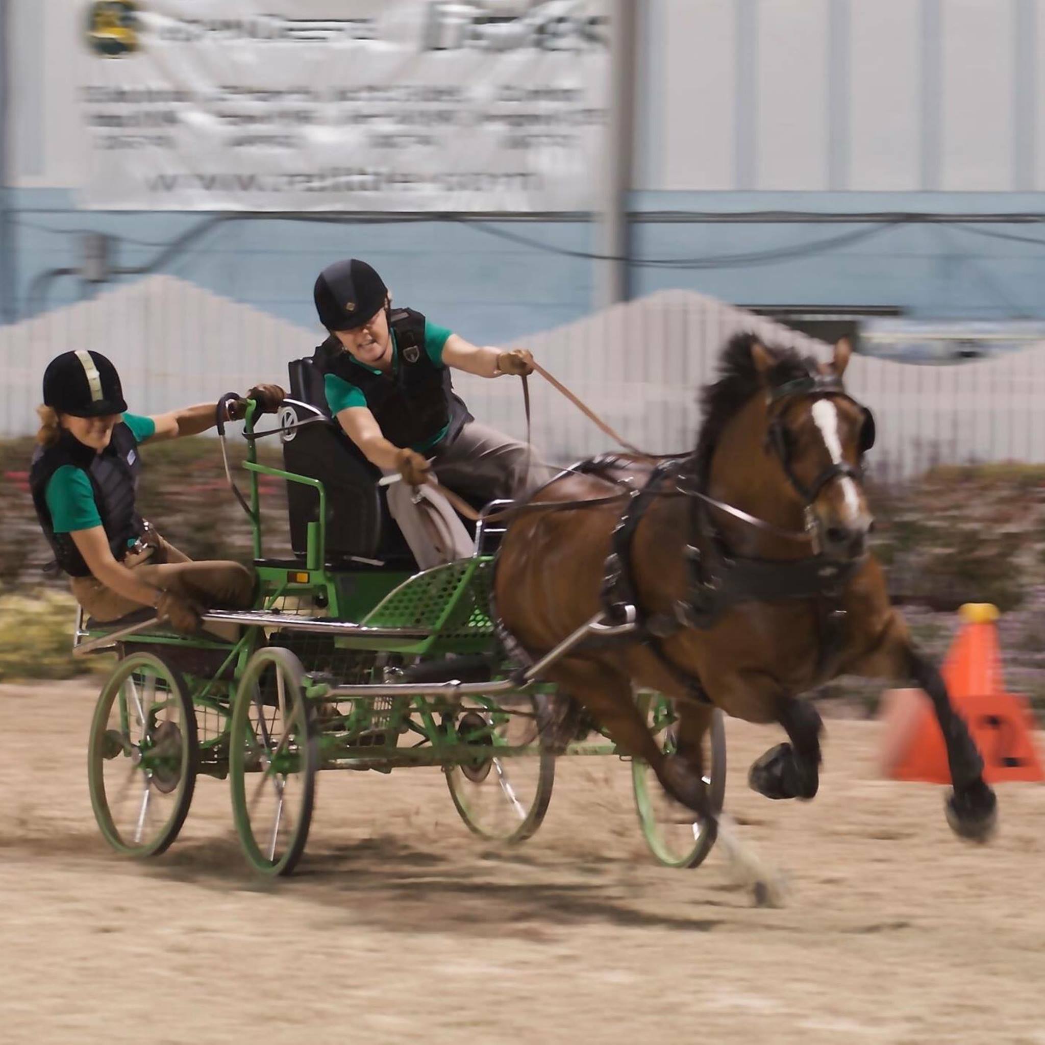 North American Carriage & Scurry Racing