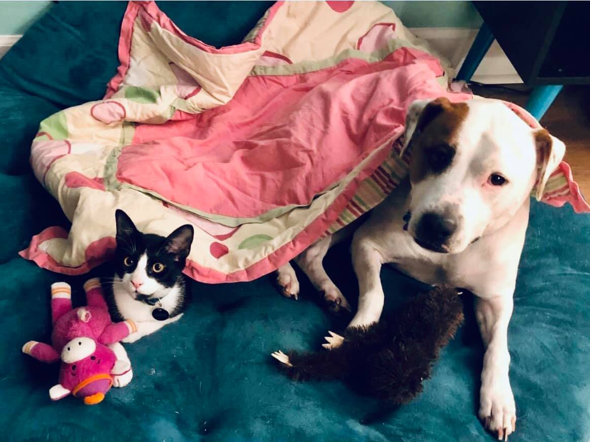 Lawrence & Remy