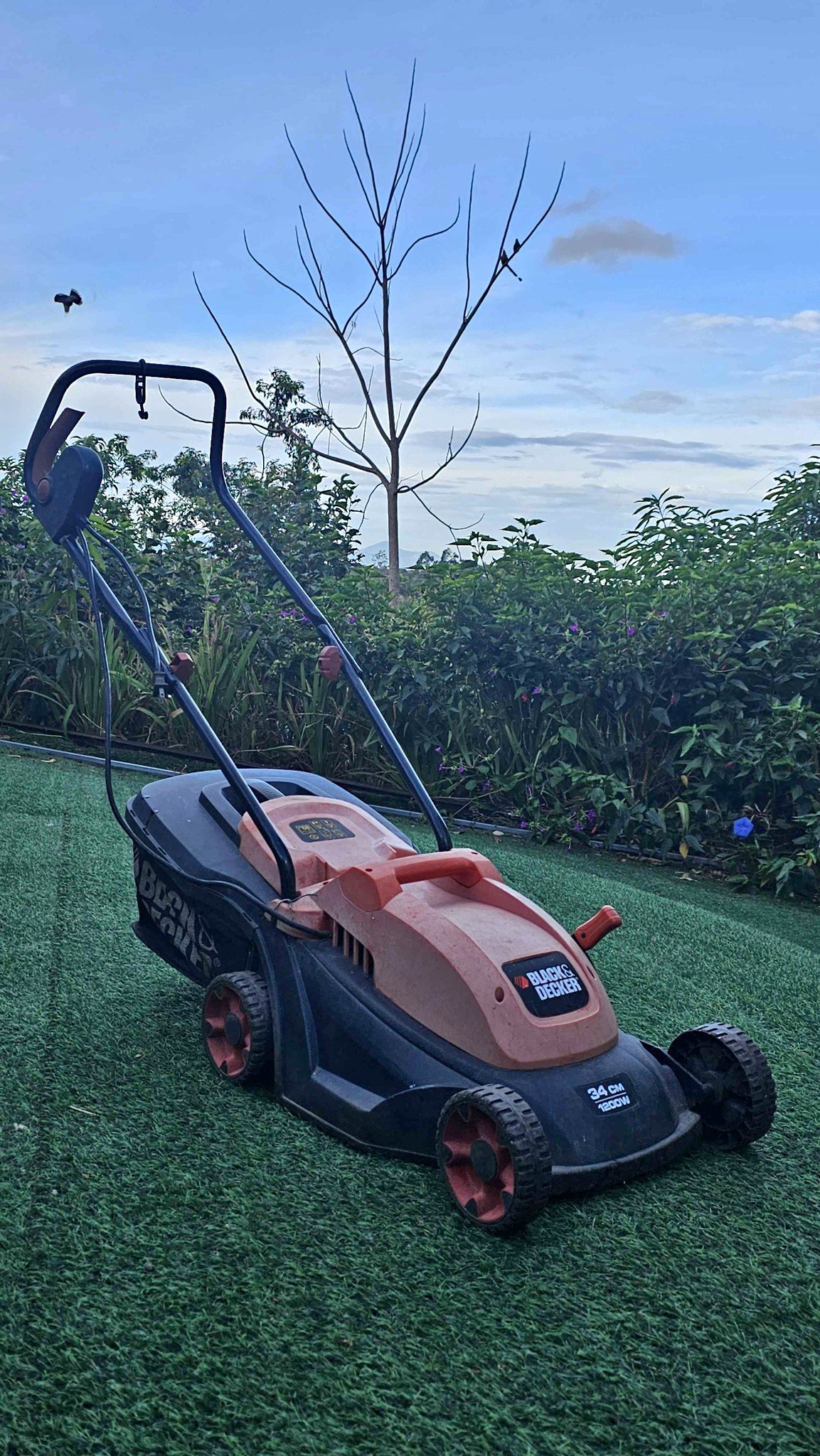 Chapiadora electrica - Lawn Mowers - San Rafael De Poas, Alajuela ...