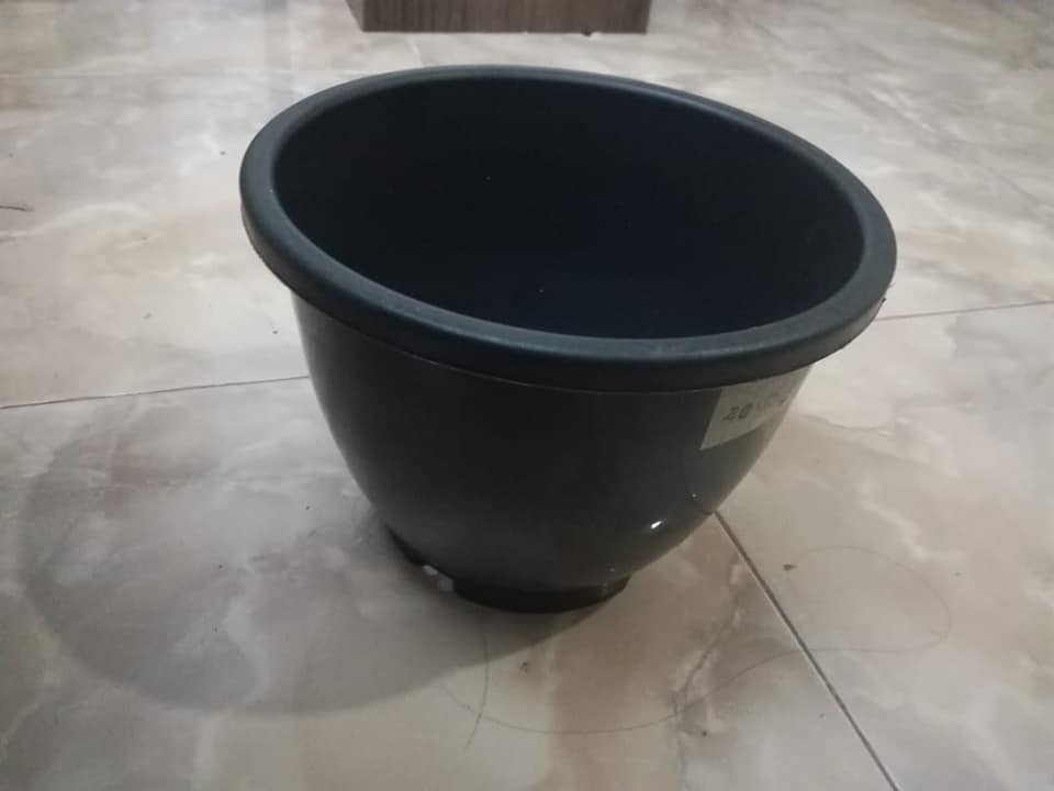 Mal Pochchi - මේ මල් පෝච්චි ගෙදරටම ගෙන්න ගන්න (28cm×20cm), දැන්ම ...