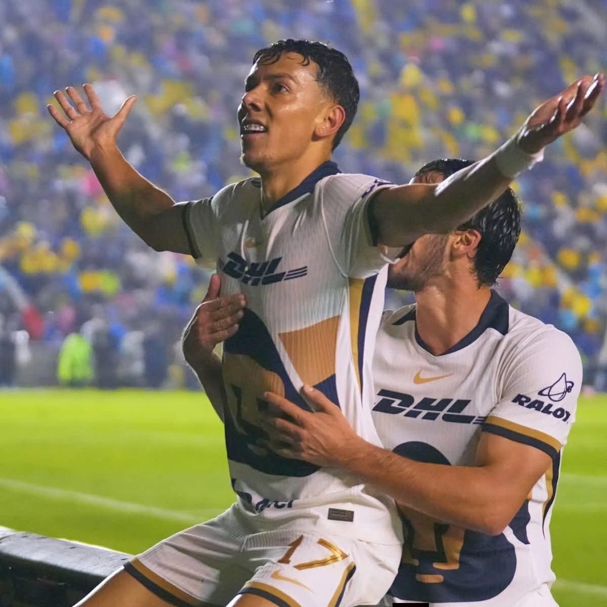 Rashoo 7 - Los pumas se parecen a mi compa, no sirven pa... | Facebook