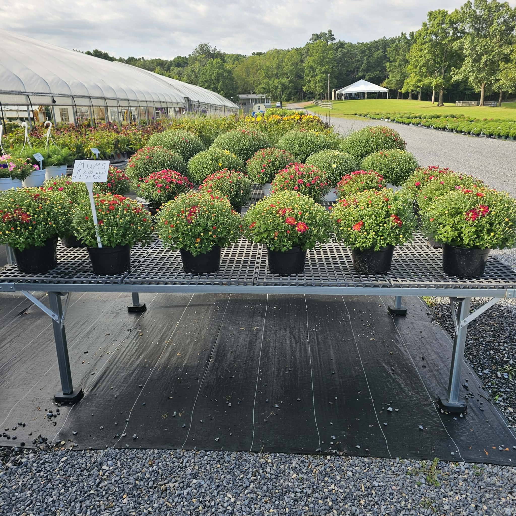 Haven of Hope Greenhouse | Shanks WV