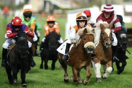 World Champion Cutter and Chariot Racing Association | Grantsville UT