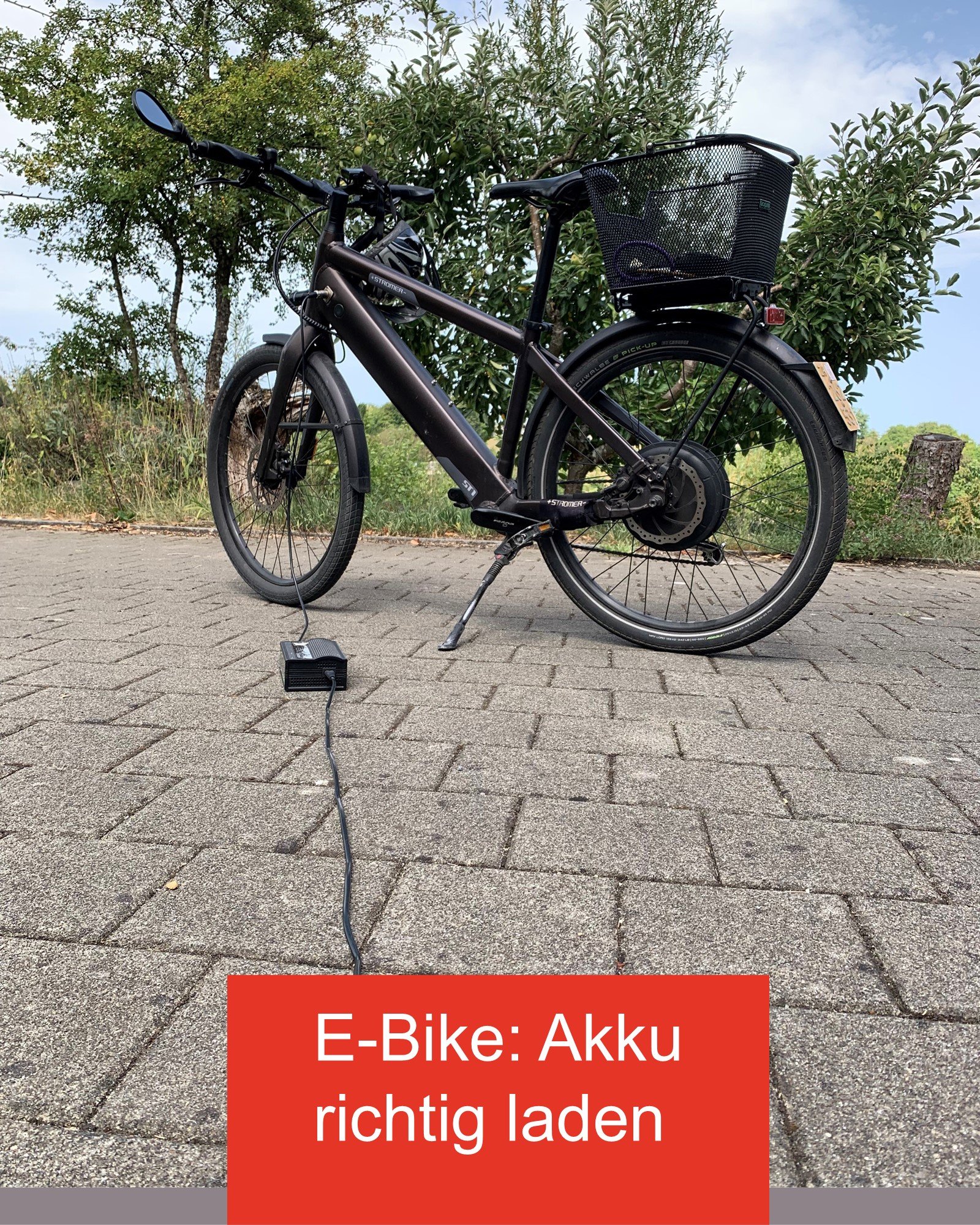 2025 gravel bikes Crux Pro Specialized Satin Carbon/Deep Lake Metallic/Smoke/White Sage Metallic Ergon GP1 Griff Für Jacket - Full Zip but flat out Color:Hi Vis Yellow