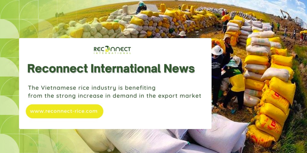 Reconnect International