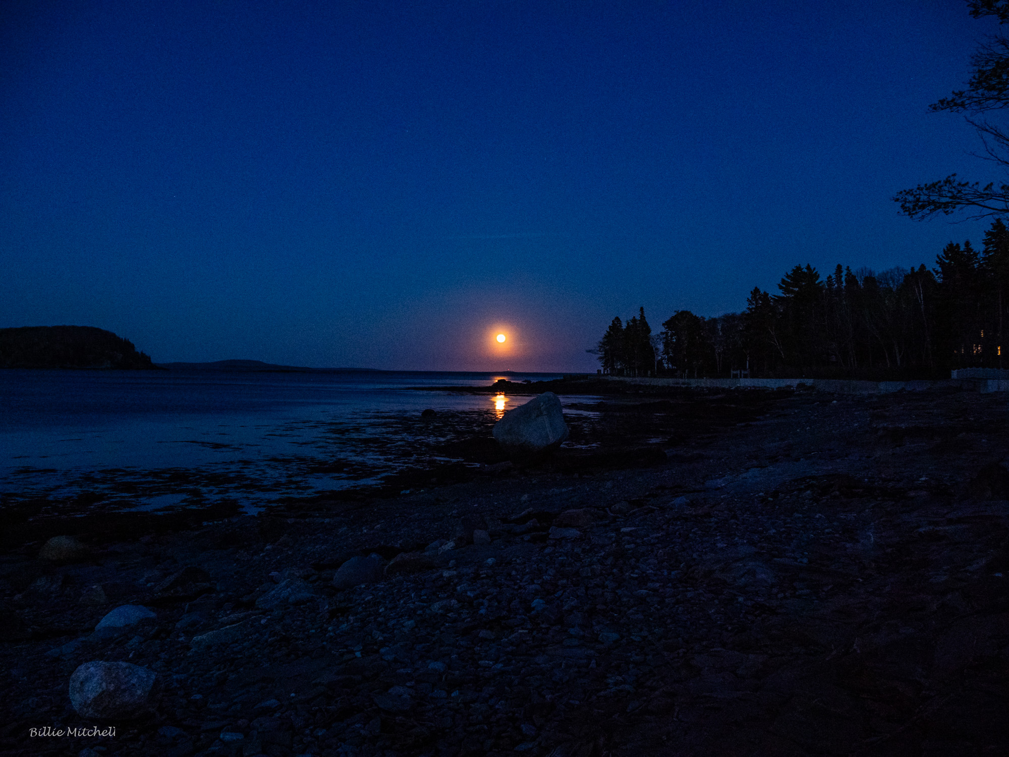 The Limited - “Flower Moon” has been attributed to Algonquin peoples ...