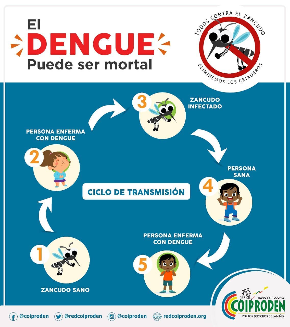 Coiproden - El dengue no se transmite de persona a persona. La ...