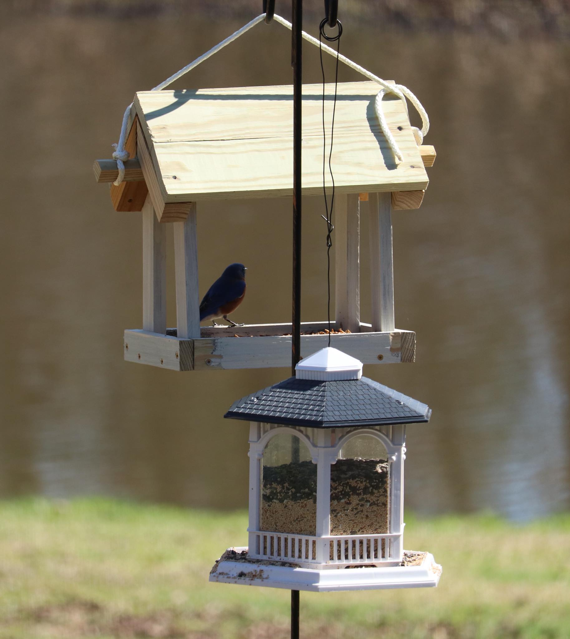 Koopman Int Traditional Wooden Birdhouse – Hanging – Multicoloured Garden Bird Feeder
