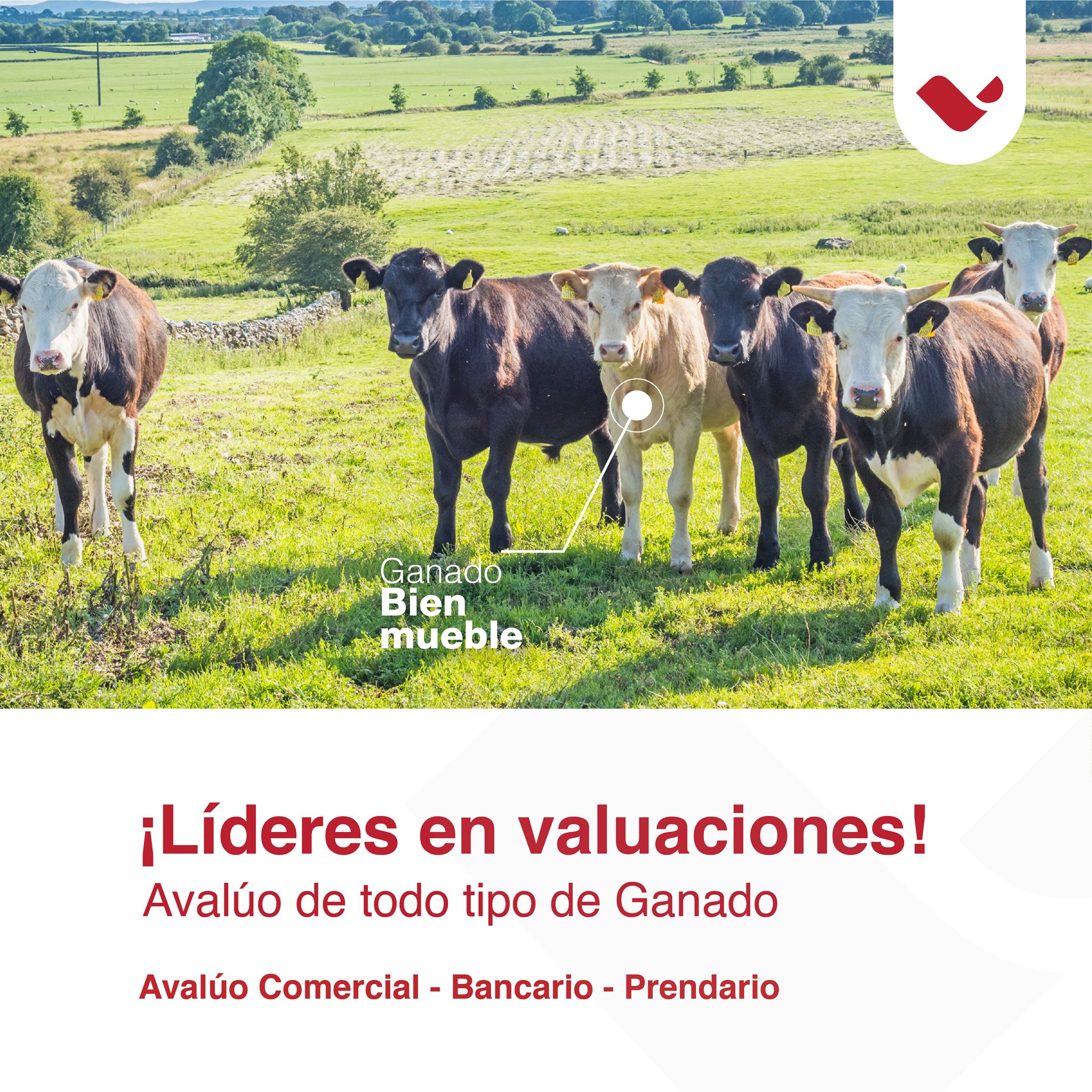 VALUA - Solicita tu Avalúo Comercial, Bancario o... | Facebook