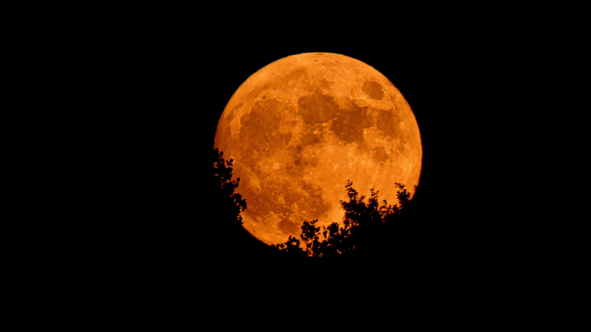 The 2025 CORN MOON is out over Kansas & Missouri tonight!! ? A 