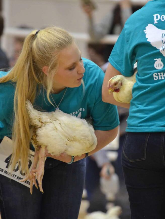 Oak Ridge FFA - A huge congratulations to our HLSR poultry... | Facebook