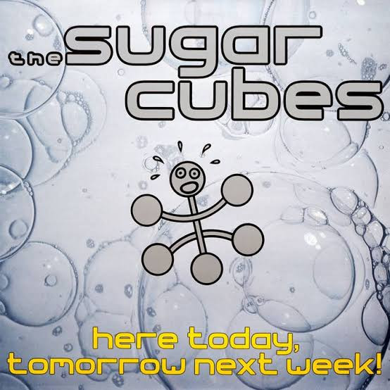 The Sugarcubes Music プロモーション用写真 The Sugarcubes' Legacy: 35 Years of 