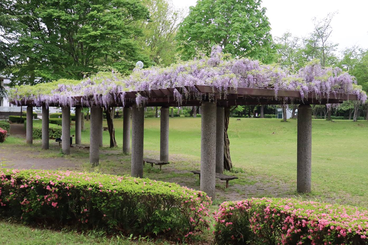 天 久保 公園