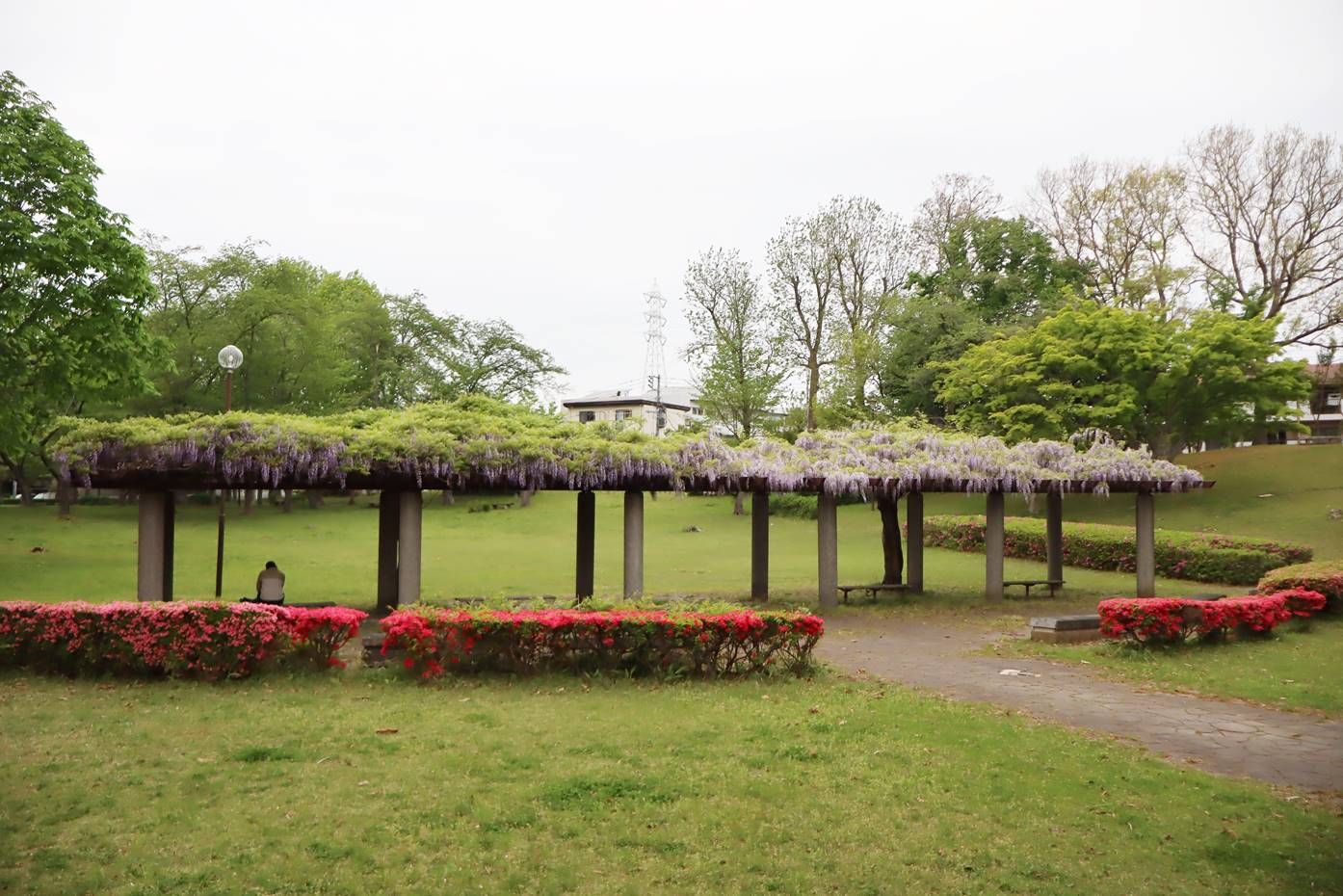 天 久保 公園