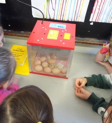 Here are some 'cracking'... - St Augustine's Kindergarten Inc | Facebook