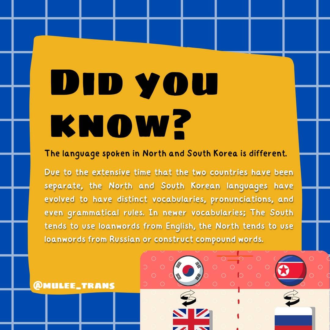 ML. - Translator and Infographic Designer | Pathiu