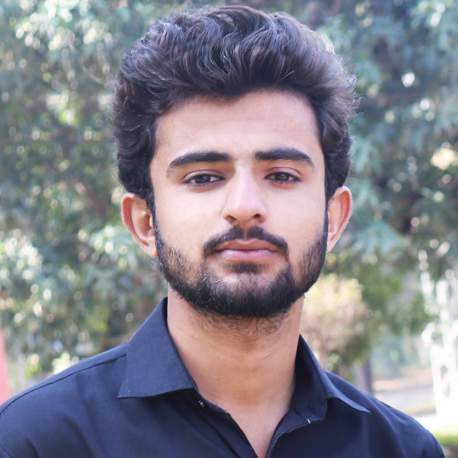 The Rohail