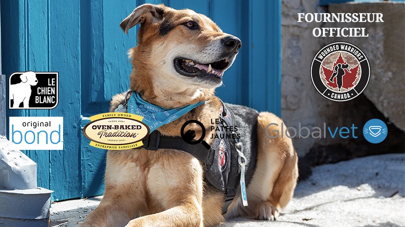 Les Chiens Togo Home Facebook