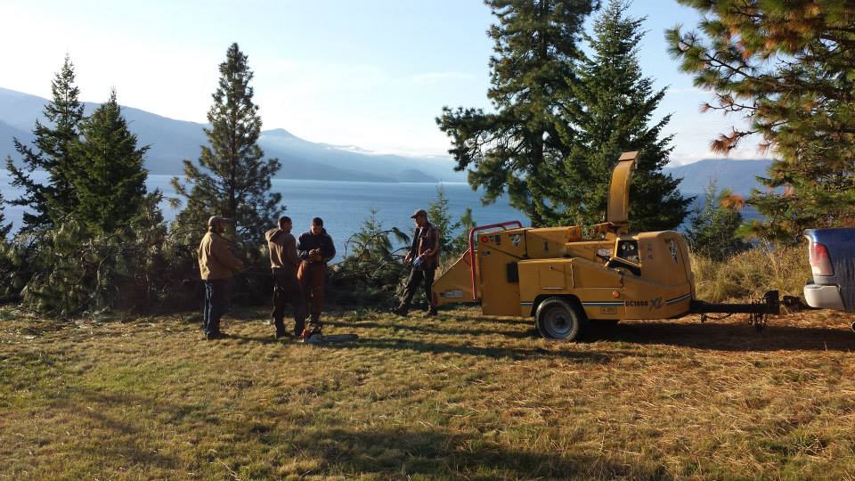 Hester Forest Management | Priest River ID