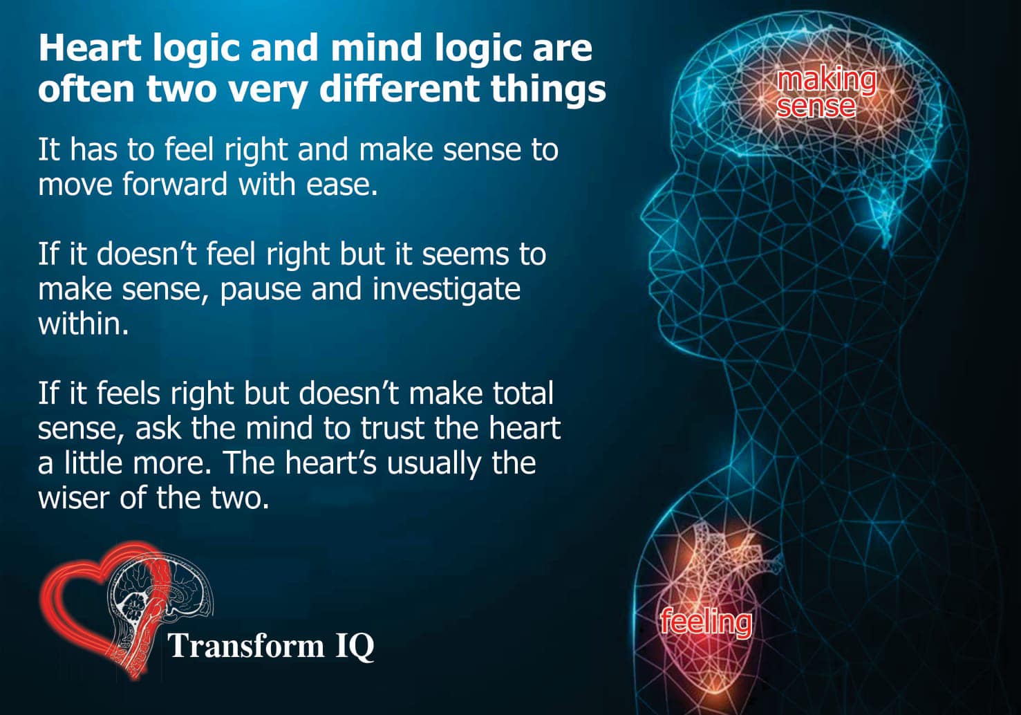Transform IQ | Pretoria
