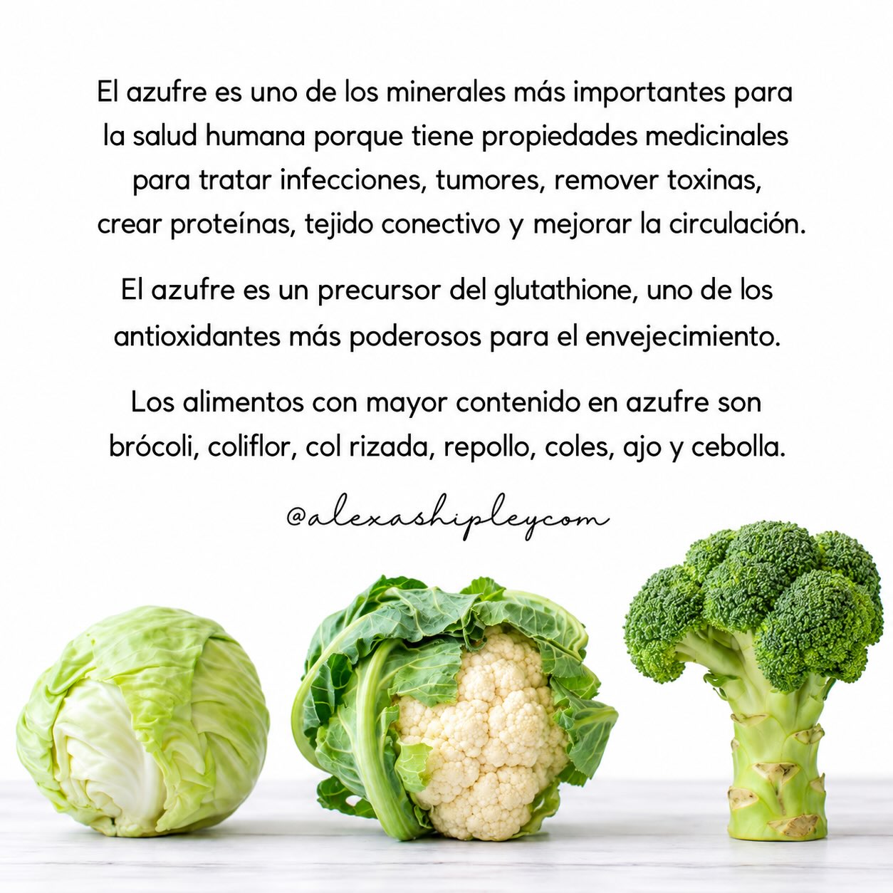 El azufre es un precursor del gluthathione, uno de los antioxidantes más poderosos para el envejecimiento🍃 Nutrients📃📑 #salud #alimentos