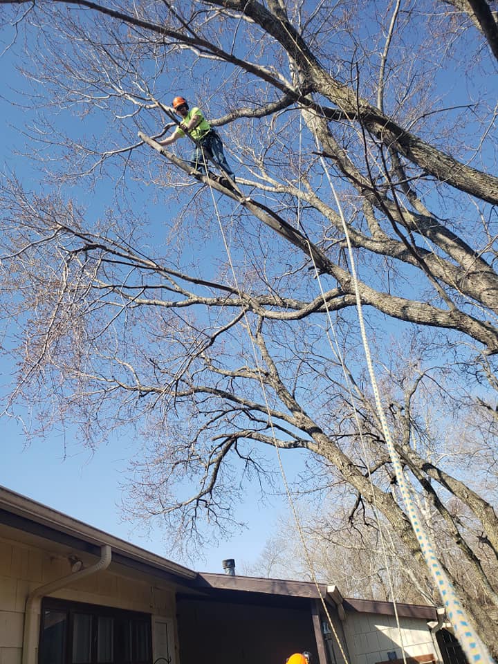 E R Arborist Service LLC
