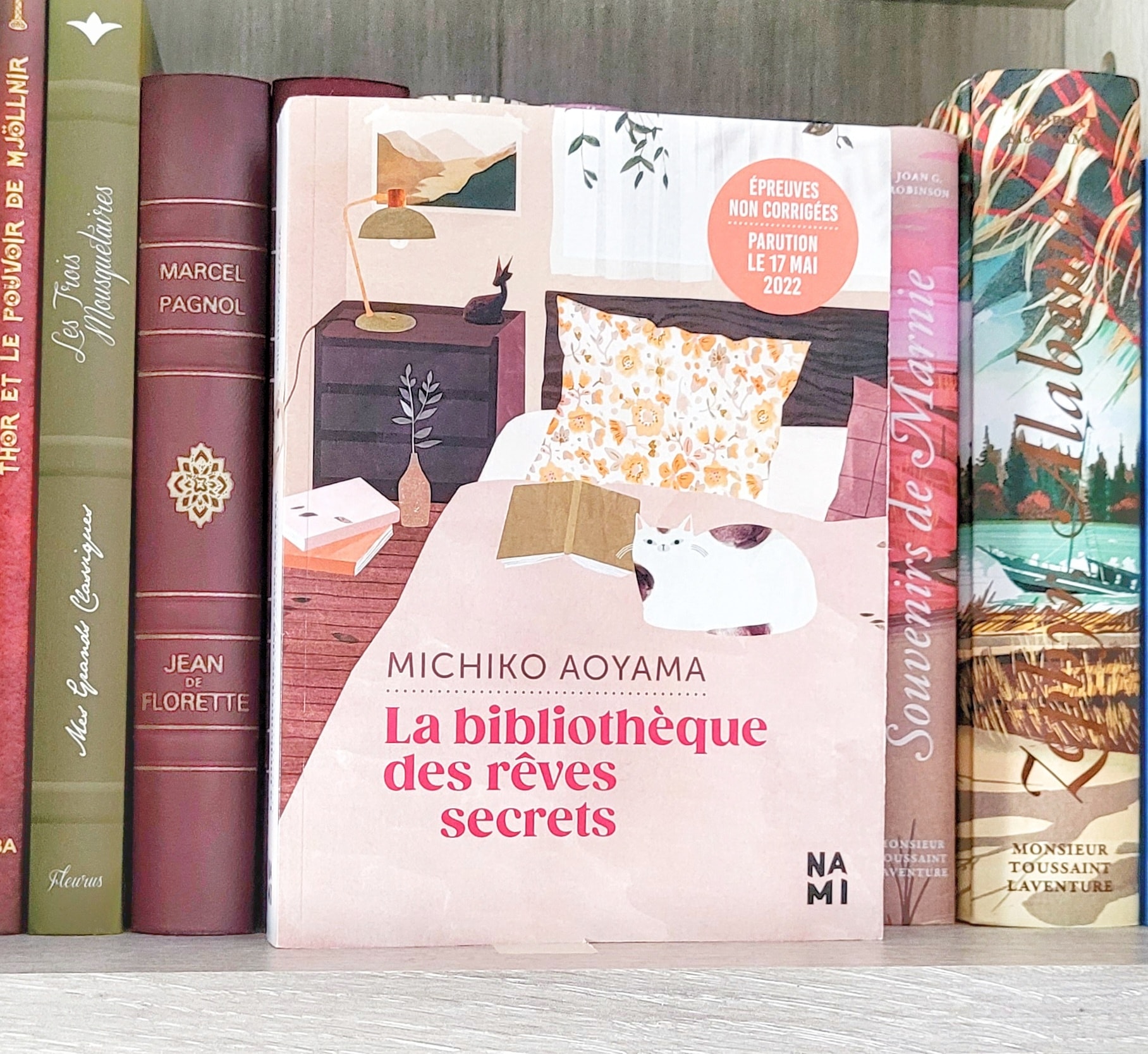 🎈 En librairie depuis le 17 mai... - Mes Carnets Littéraires | Facebook
