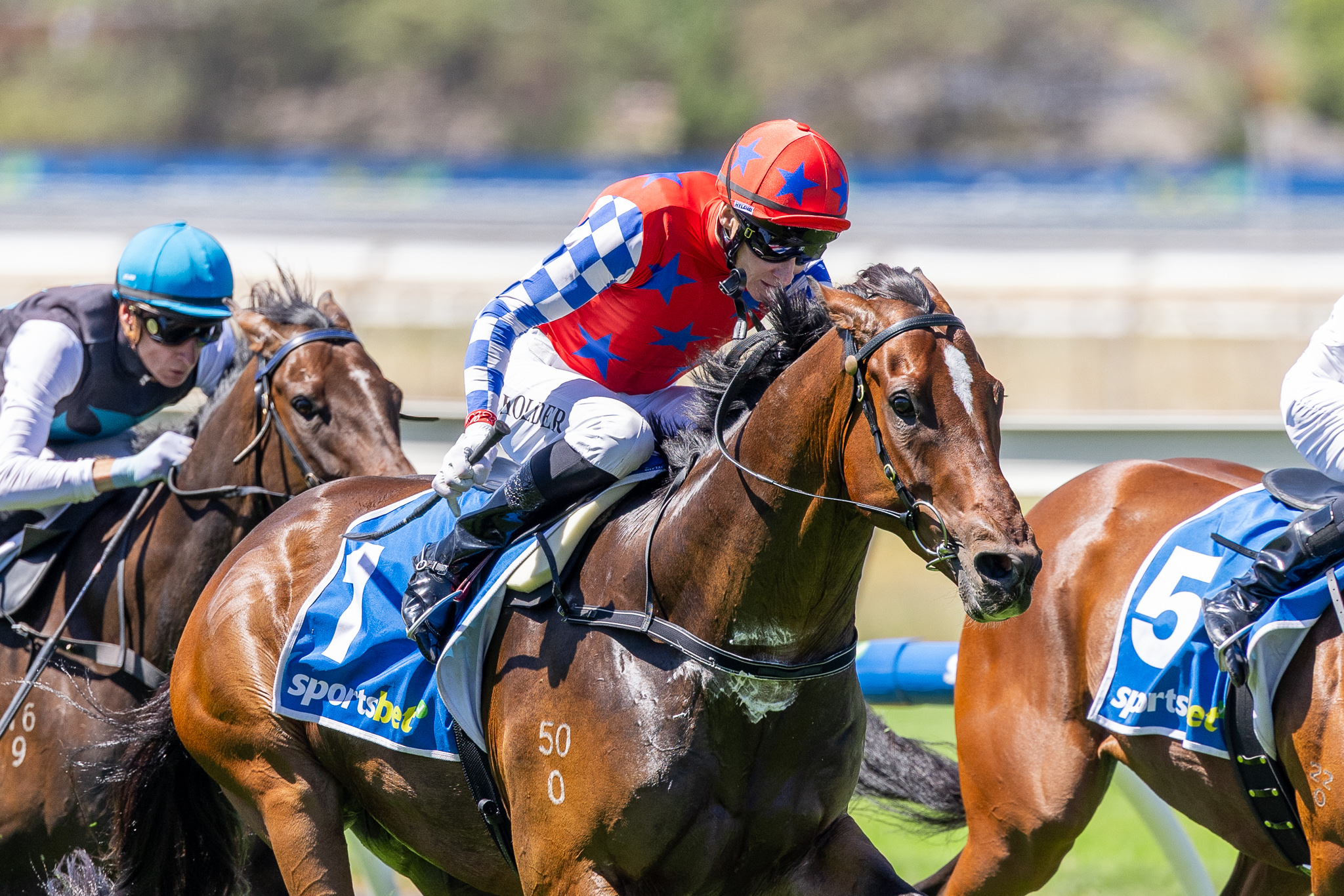 Kerryn Manning is facing a stint... - Harness Racing Victoria | Facebook