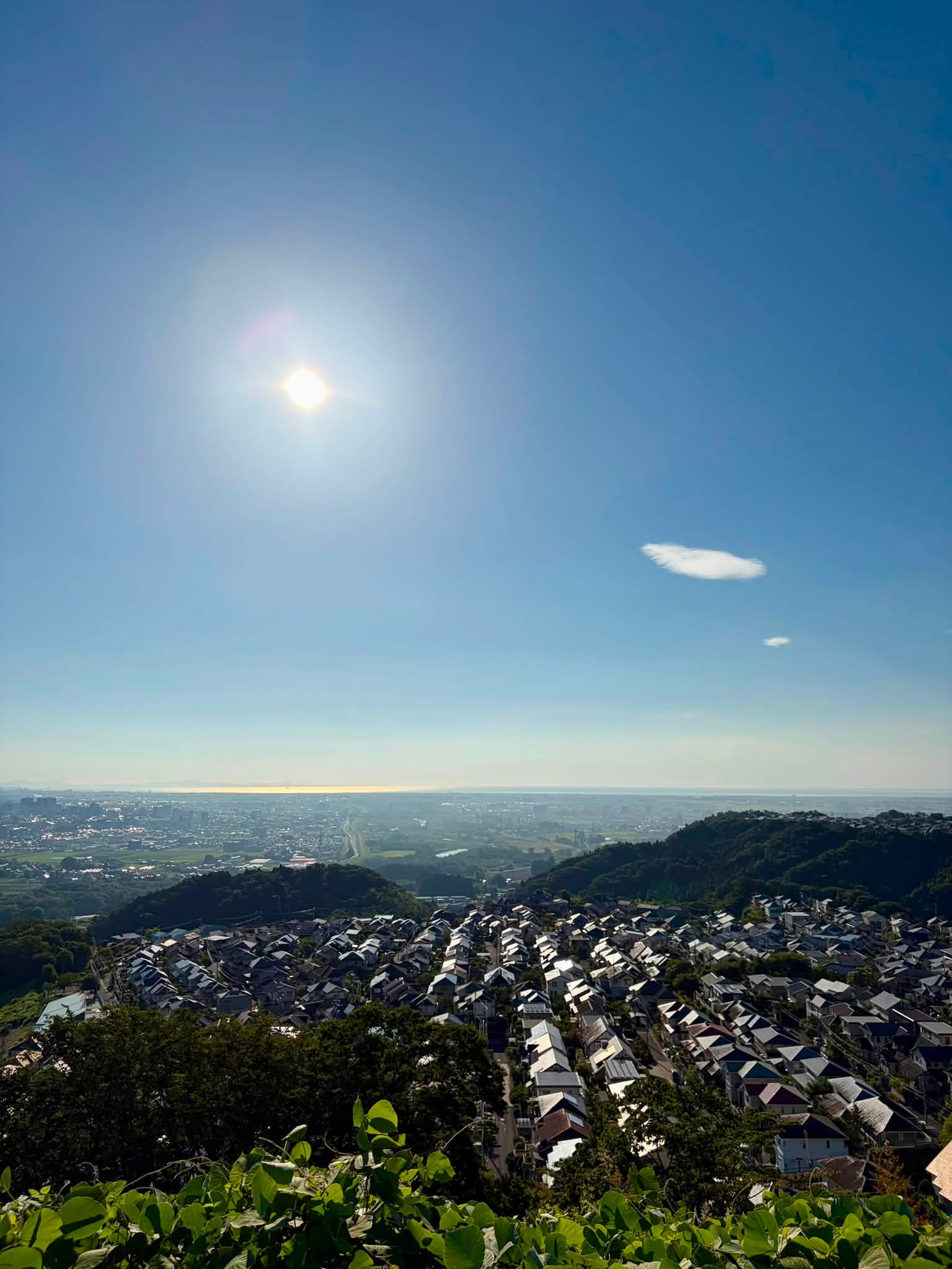 今日も綺麗な朝空です。