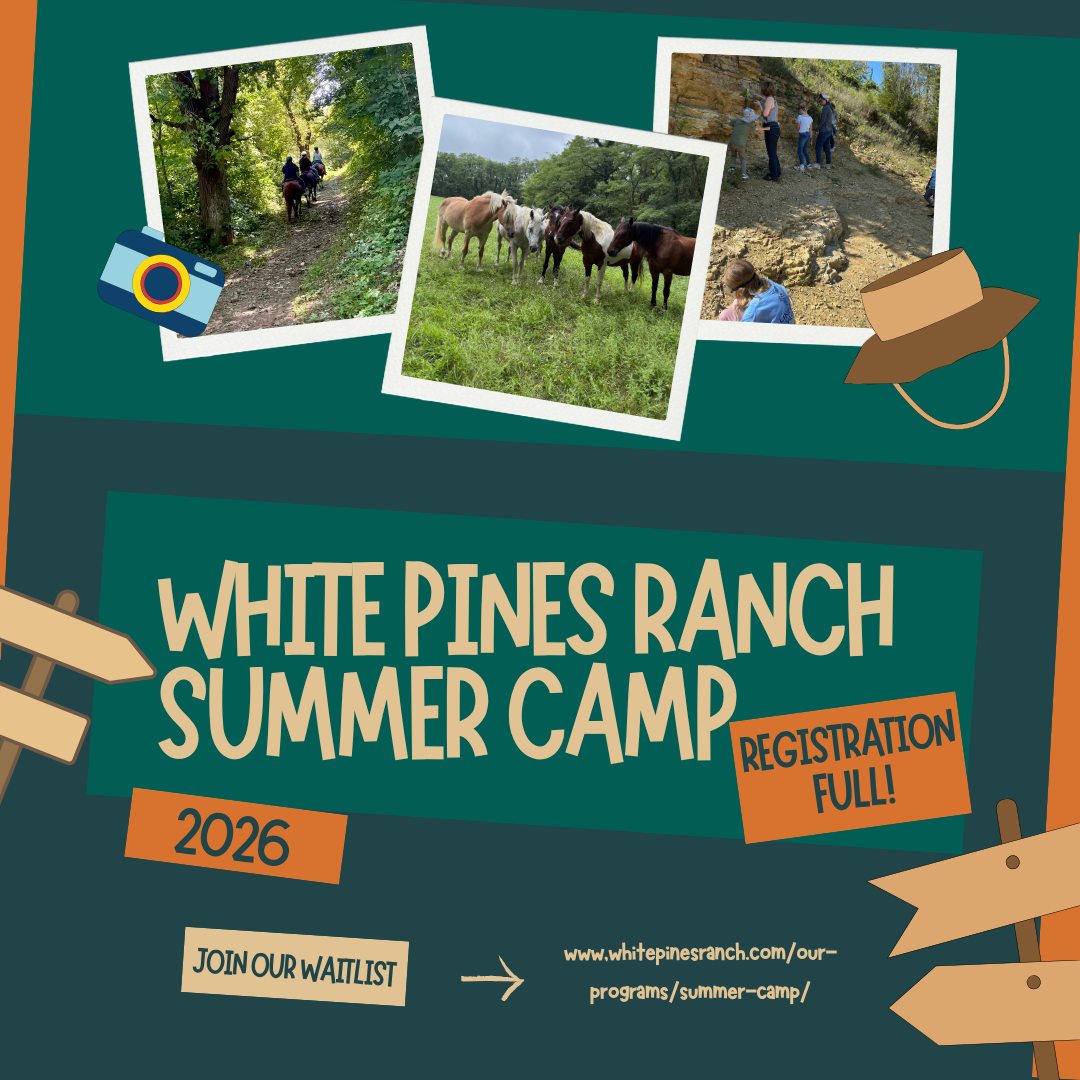 Summer Camp 2026 spots are filling up... - White Pines Ranch | Facebook
