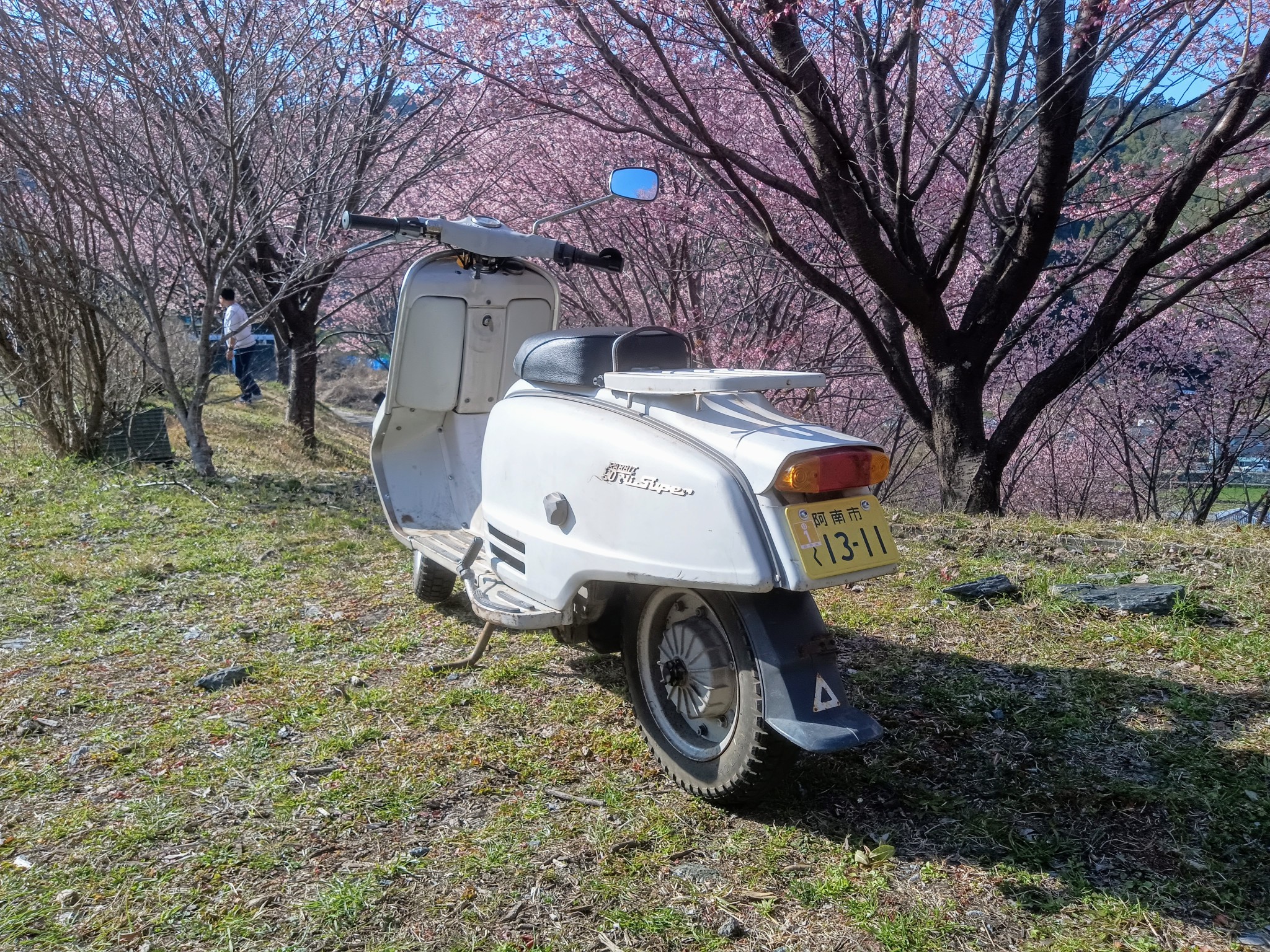 Rabbit S211 owners club FB | Facebook