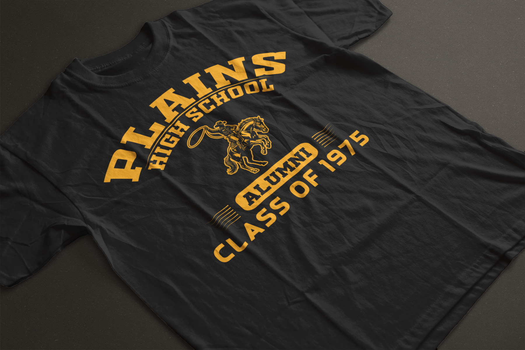 Plains Texas PHS) Class Of 1975 40th Class Reunion