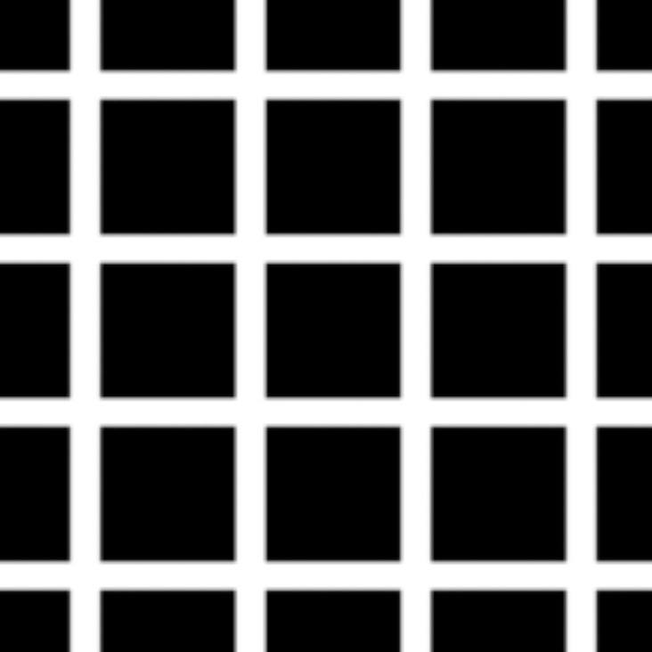 Stuart Rook Optometrist | Revesby NSW