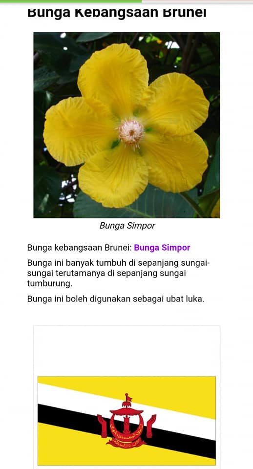 Cikgu Hajar Bunga Kebangsaan Asia Facebook