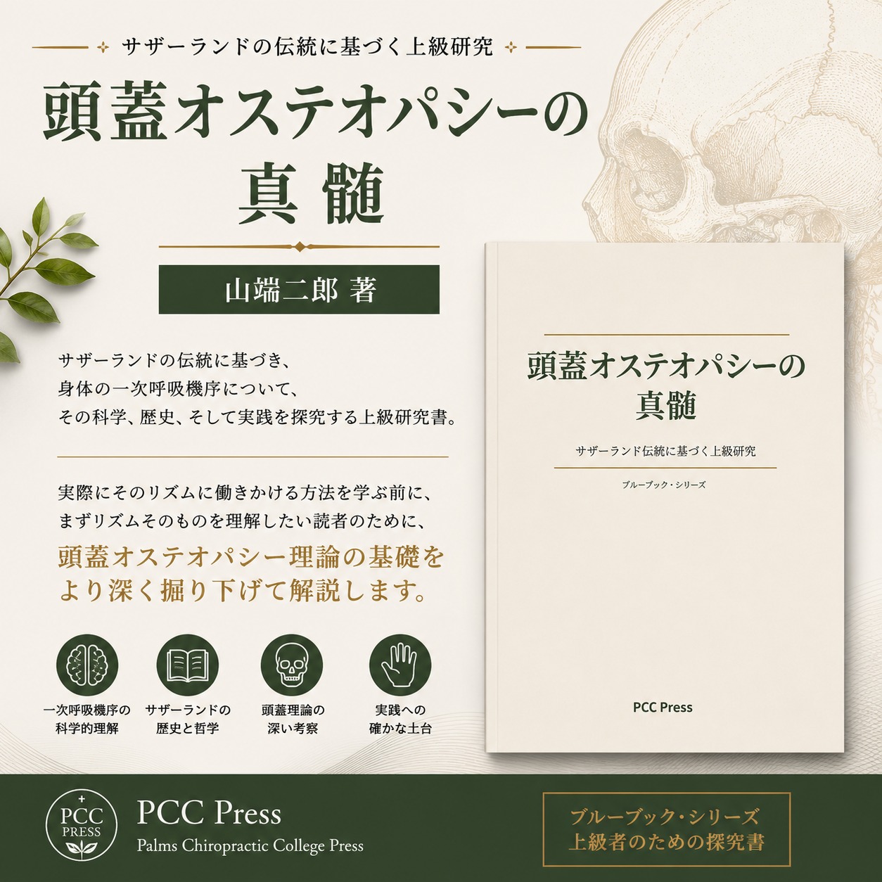 PCC Osteopathy | Osaka Osaka