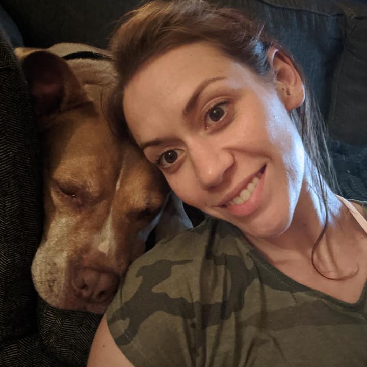 South - The lovely dog below was found in the Old Port around 1am and ...