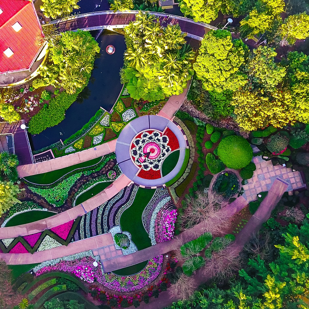 🐦 A bird's eye view of the spring... - Roma Street Parkland | Facebook