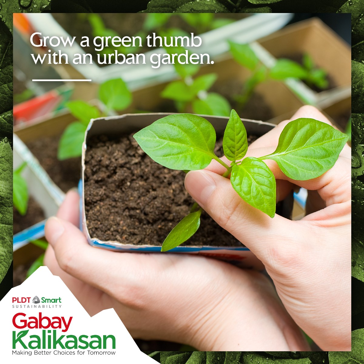 Gabay Kalikasan Starting Your Own Urban Garden At Home Facebook