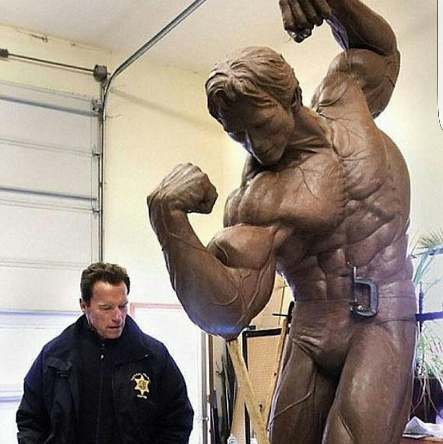 Bodybuilding - TRANSFORMED 😂 🔻🔻🔻🔻🔻🔻🔻🔻🔻🔻🔻🔻 ️ACCOUNT OWNER @singhfitness ...