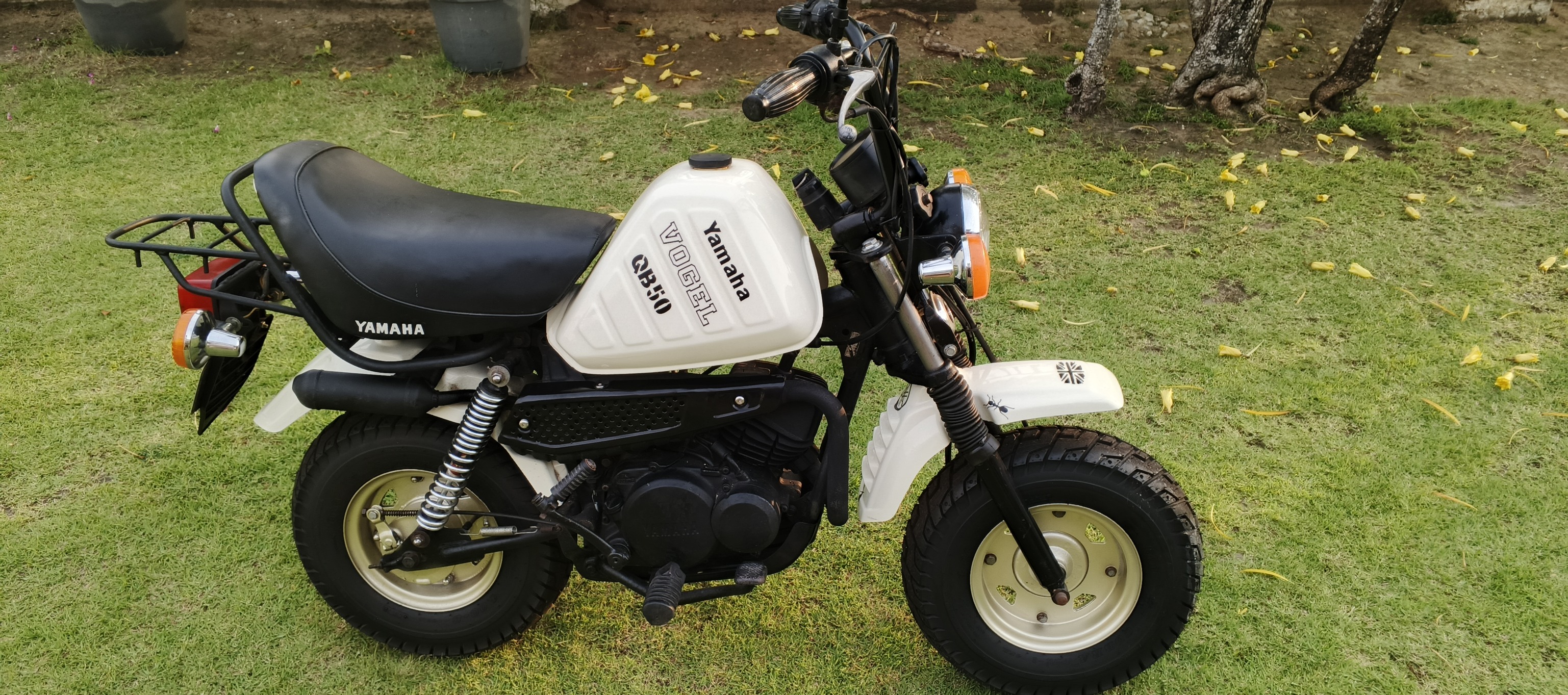 1980 Yamaha Vogel QB50 monkey bike for sale