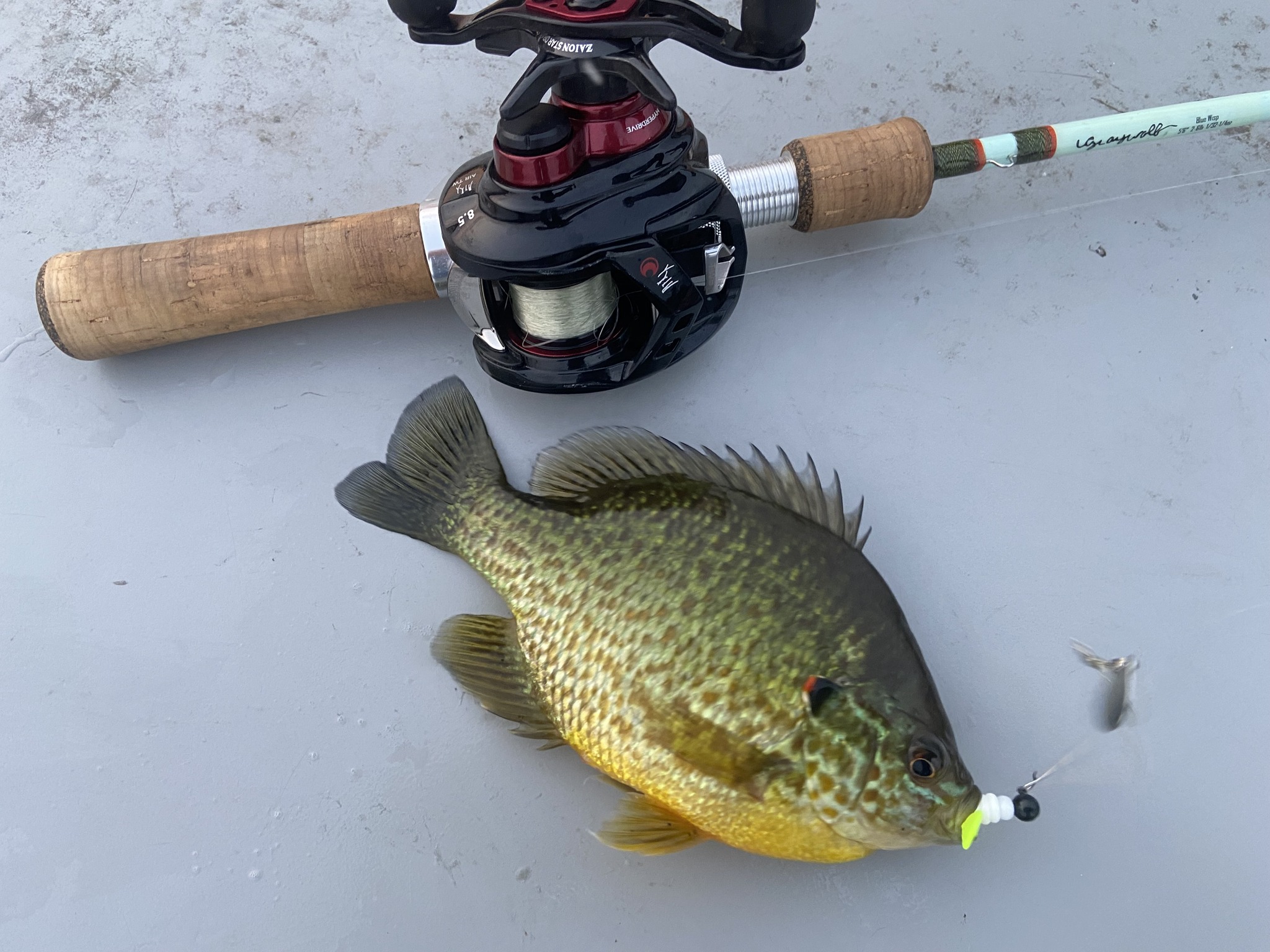 That Crawfish Copper Blue magic! 💥David Aaron showing off a solid