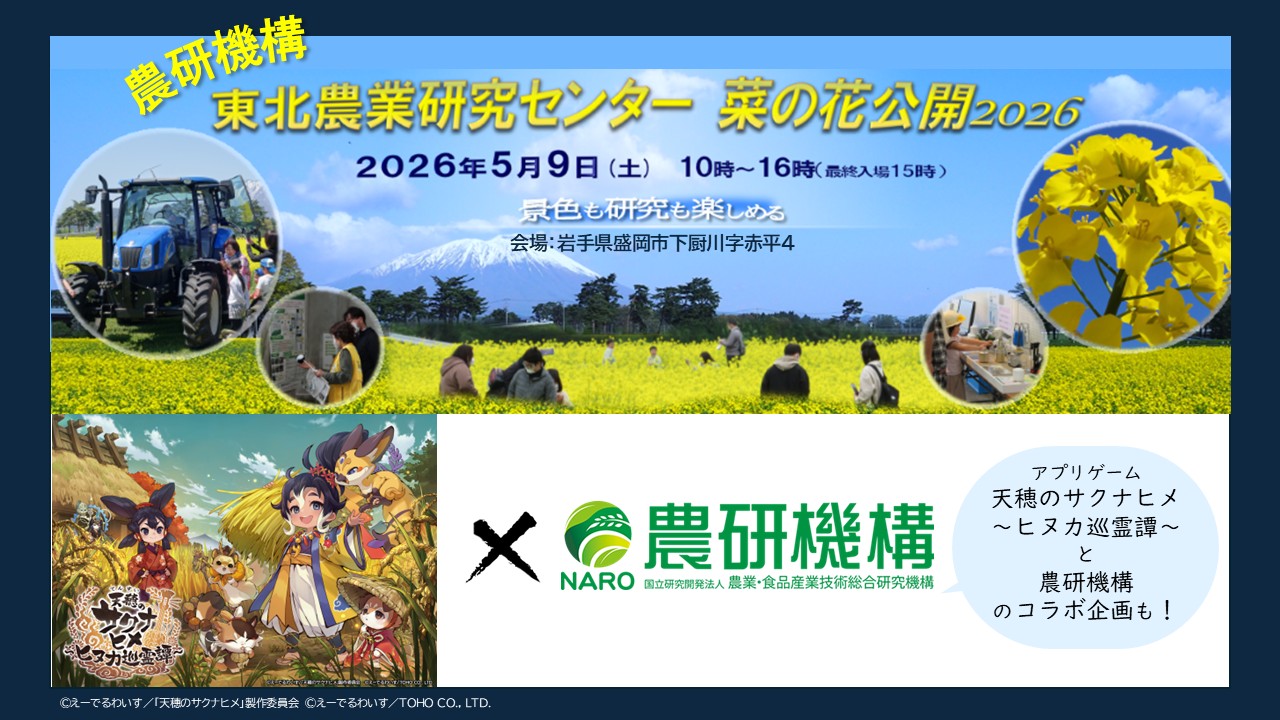 農研機構東北農研（盛岡市）では5/9（土）に菜の花公開を開催します