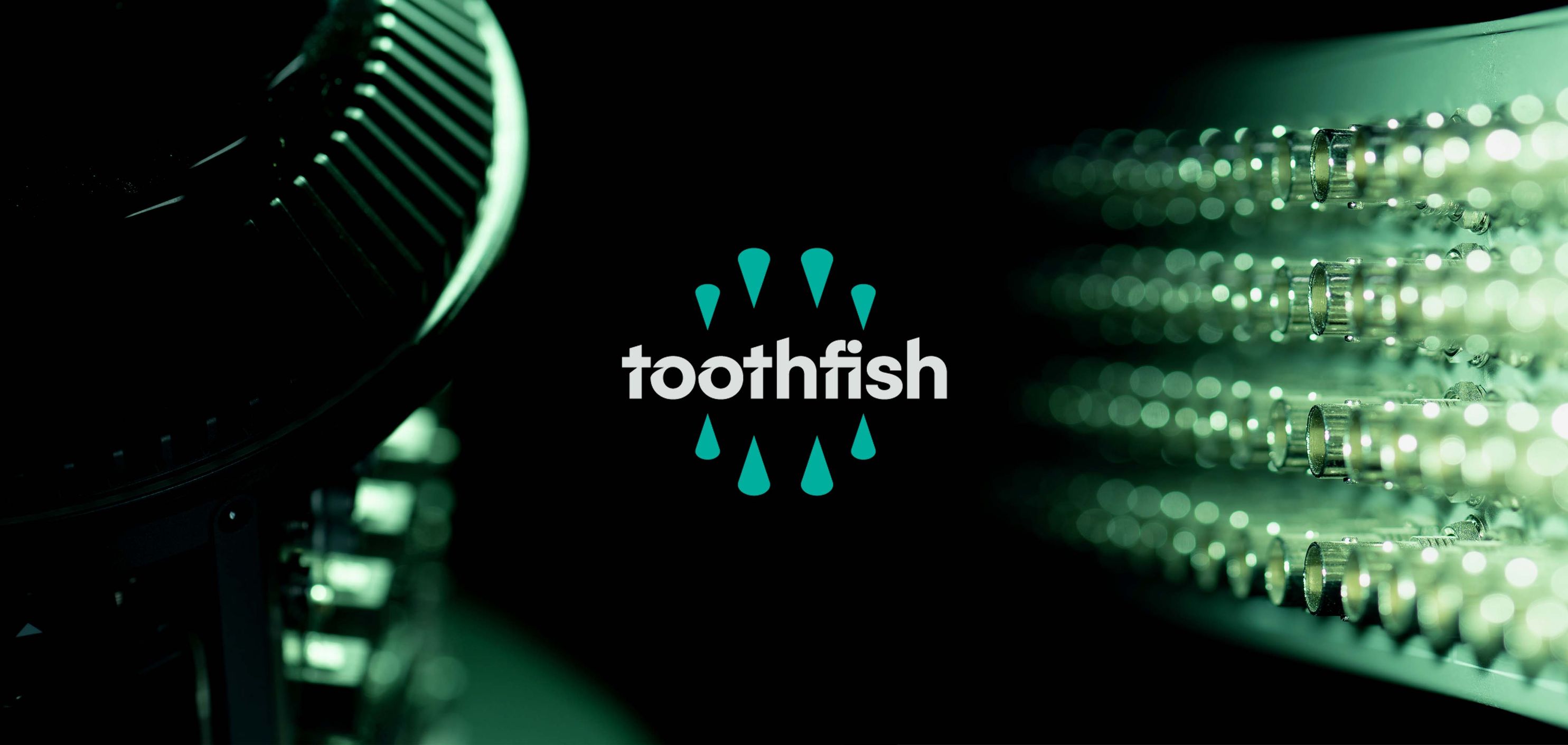 Toothfish | Lower Hutt